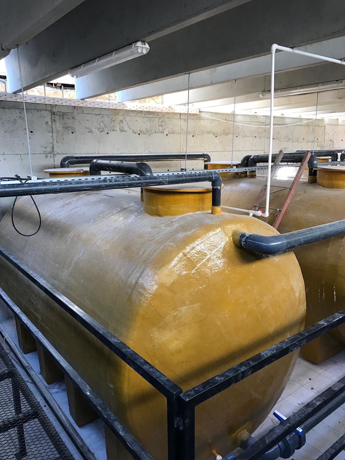Iodine-131 Tank Systems - 3